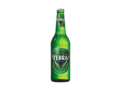 TERRAビール(瓶)500ml